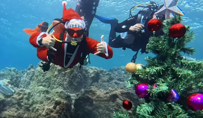 Underwater Christmas tree lights up Protaras seabed - Sigmalive English