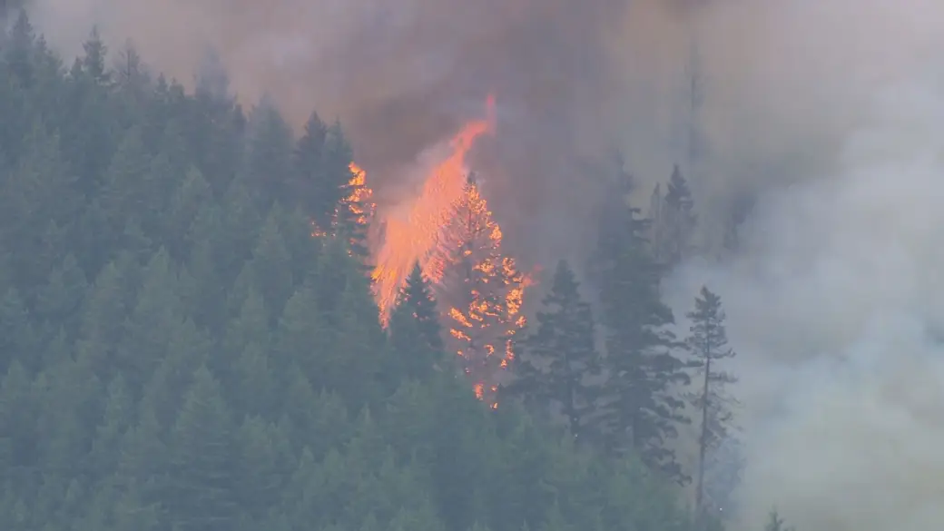 More than 800 wildfires in Canada as air quality alerts extend to US